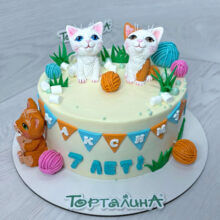 Котики. Премиум