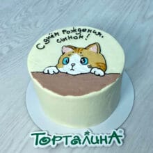 Бенто торт с рисунком. Сынок!
