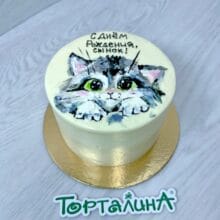 Бенто торт с рисунком. Сыночку!