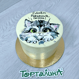 премиальный бенто торт с рисунком котика